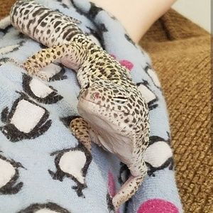 Meet your Posher, Destiny